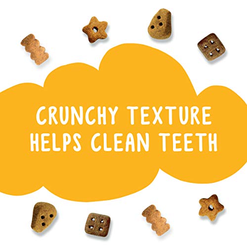 Purina Friskies Made in USA Facilities Cat Treats, Party Mix Cheezy Craze Crunch - 20 oz. Canister