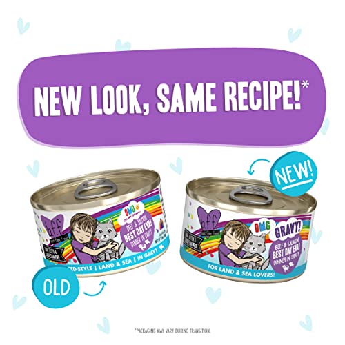 Weruva B.F.F. Omg - Best Feline Friend Oh My Gravy! Grain-Free Wet Cat Food Cans, Best Day Eva! Beef & Salmon, 2.8-Ounce Can (Pack of 12)