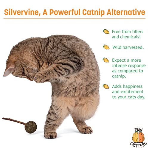Twin Critters Organic Silver Vine Lollipops Catnip Matatabi Sticks - Dental Health - for Cats & Kittens 100%, All-Natural Silvervine (3 Pack)| Wild Harvested with No Additives Or Preservatives