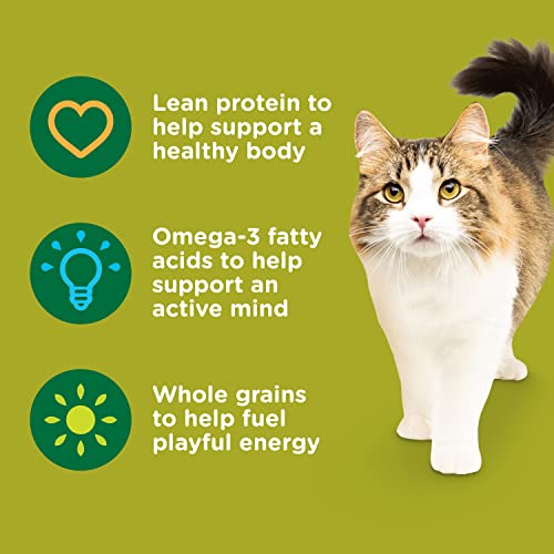 Rachael Ray Nutrish Premium Natural Dry Cat Food, Real Chicken & Brown Rice Recipe, 14 Pounds