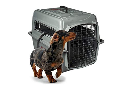 Petmate Sky Kennel Pet Carrier - 21 Inch