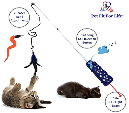 Pet Fit For Life Rechargeable Chaser Light Cat Feather Teaser Toy and Interactive Squiggly Worm Kitten Wand Combo W/Bird Chirping Call to Action