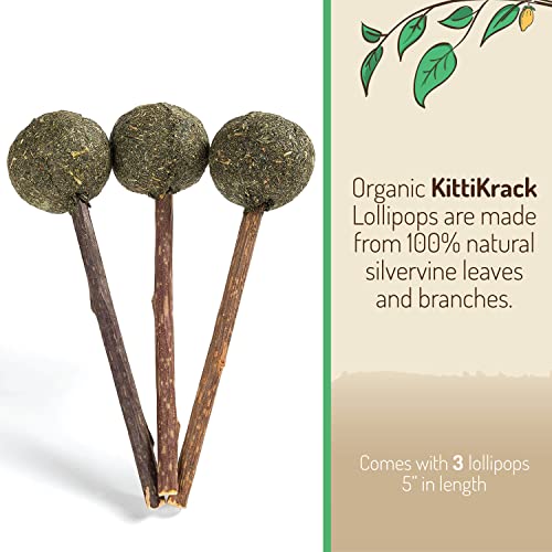 Twin Critters Organic Silver Vine Lollipops Catnip Matatabi Sticks - Dental Health - for Cats & Kittens 100%, All-Natural Silvervine (3 Pack)| Wild Harvested with No Additives Or Preservatives
