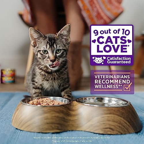 Wellness Natural Pet Food Complete Health Minced Grain Free Canned Cat Food, Chicken Dinner, 3 Ounces (Pack of 24)