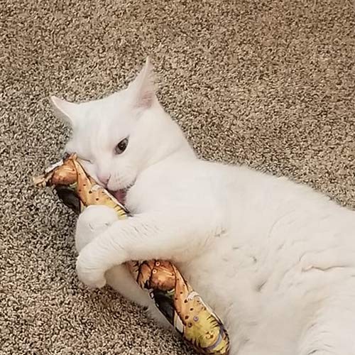 11" Catnip Kicker Toys - Set of 2 Cat Kickers