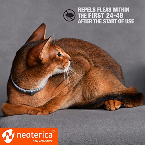 Flea & Worm Collar for Cats - Flea Control and Tick Treatment - Better than Oral Flea Control - Cat Dewormer - Cat Worm Treatment for Tapeworms