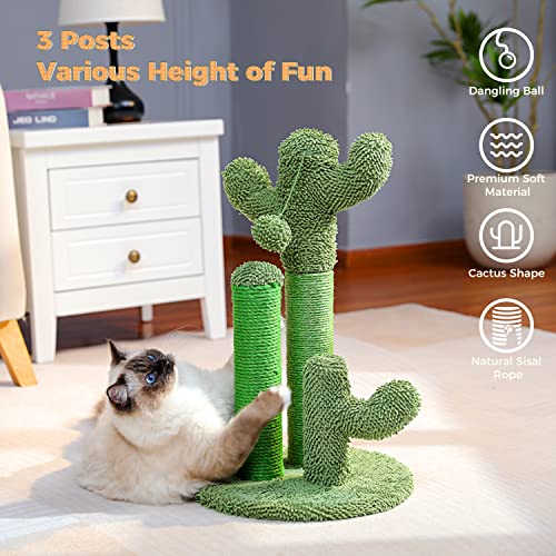 PAWZ Road Cat Scratching Post Cactus Cat Scratcher Featuring with 3 Scratching Poles and Dangling Ball-Medium 23 Inches
