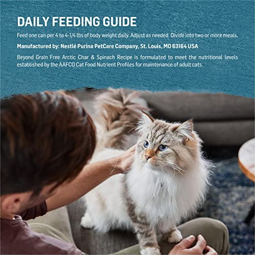 Purina Beyond Grain Free, Natural Pate Wet Cat Food, Grain Free Arctic Char & Spinach Recipe - (12) 3 oz. Cans