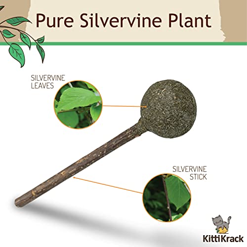 Twin Critters Organic Silver Vine Lollipops Catnip Matatabi Sticks - Dental Health - for Cats & Kittens 100%, All-Natural Silvervine (3 Pack)| Wild Harvested with No Additives Or Preservatives