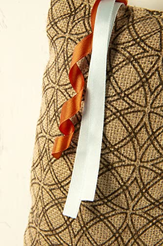 Petlinks Claw Kicker Hanging Scratch Pillow & Cat Toy