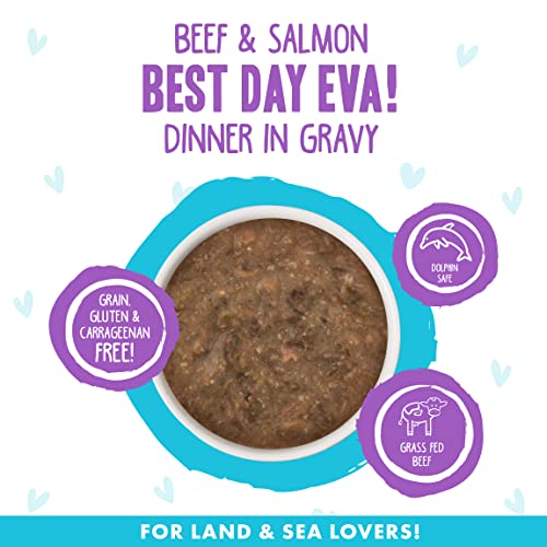 Weruva B.F.F. Omg - Best Feline Friend Oh My Gravy! Grain-Free Wet Cat Food Cans, Best Day Eva! Beef & Salmon, 2.8-Ounce Can (Pack of 12)