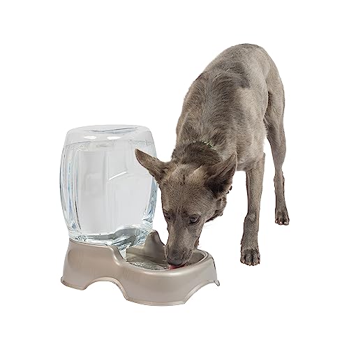 Petmate Pet Cafe Waterer Cat and Dog Water Dispenser 4 Sizes, 3 GAL, Pearl Tan