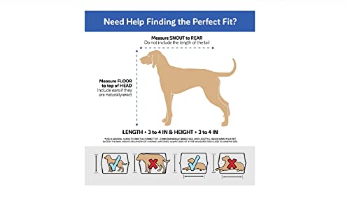 Petmate Sky Kennel Pet Carrier - 21 Inch