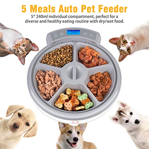 Casfuy 5-meals Automatic Cat Feeder - Auto Pet Feeder with Programmable Timer Dry and Wet Food Dispenser Voice Recorder & Speaker for Cat and Small Medium Dog Portion Control Dual Power Supply 5x240ml