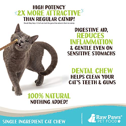 Raw Paws Natural Matatabi Cat Stick Treat, 30 Pack - Unprocessed, Safe & Healthy - Cat Silvervine Sticks for Cats of All Ages - Natural Catnip Chew Sticks - Silvervine Cat Toy - Catnip Sticks for Cats