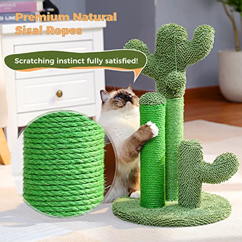 PAWZ Road Cat Scratching Post Cactus Cat Scratcher Featuring with 3 Scratching Poles and Dangling Ball-Medium 23 Inches