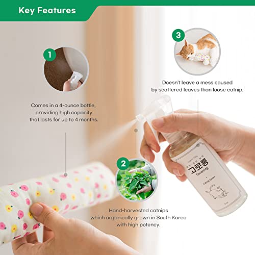 Gororong Premium Catnip Spray for Indoor, Outdoor Cats and Feline, Natural, Safe and High Potency, Use on Cat Toys, Scratchers and Condos 4 fl oz