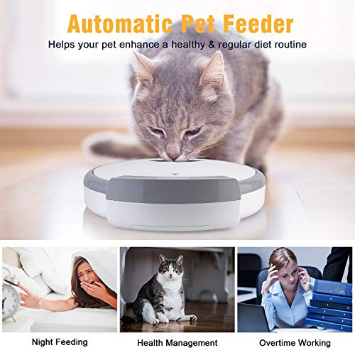 Casfuy 5-meals Automatic Cat Feeder - Auto Pet Feeder with Programmable Timer Dry and Wet Food Dispenser Voice Recorder & Speaker for Cat and Small Medium Dog Portion Control Dual Power Supply 5x240ml