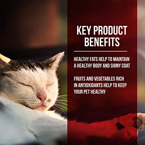 Fussie Cat Market Fresh Chicken & Turkey Meal Formula Grain-Free Dry Cat Food 2lb