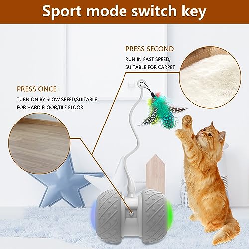BENTOPAL Automatic Cat Toys Interactive Cat Feather Toys, Pet ExerciseToys, Electric Cat Toys for Indoor Cats/Kitten with Feather, 2020 Upgrade (Auto Cat Toy)