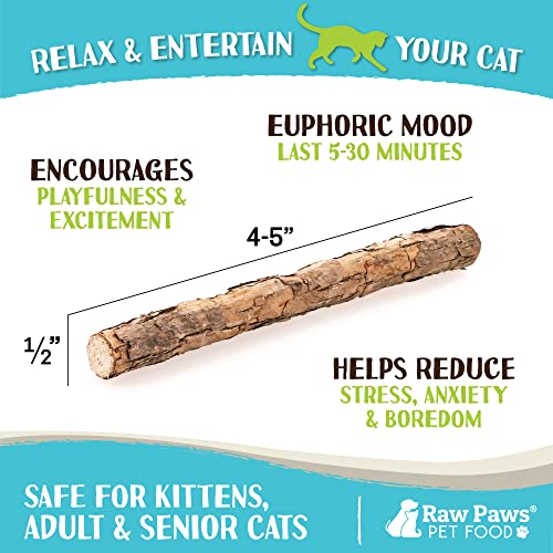 Raw Paws Natural Matatabi Cat Stick Treat, 30 Pack - Unprocessed, Safe & Healthy - Cat Silvervine Sticks for Cats of All Ages - Natural Catnip Chew Sticks - Silvervine Cat Toy - Catnip Sticks for Cats
