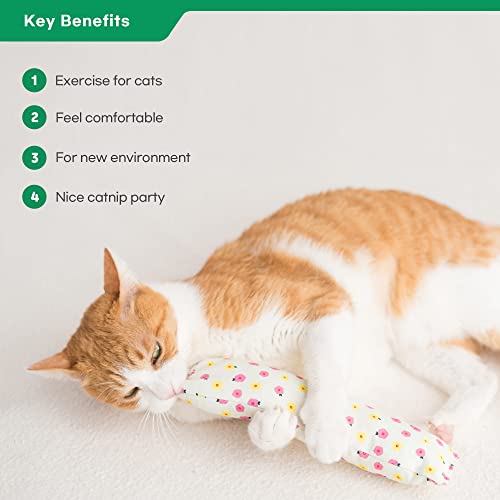 Gororong Premium Catnip Spray for Indoor, Outdoor Cats and Feline, Natural, Safe and High Potency, Use on Cat Toys, Scratchers and Condos 4 fl oz