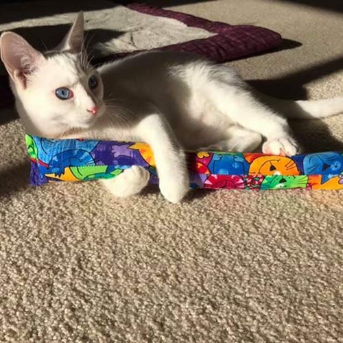 11" Catnip Kicker Toys - Set of 2 Cat Kickers