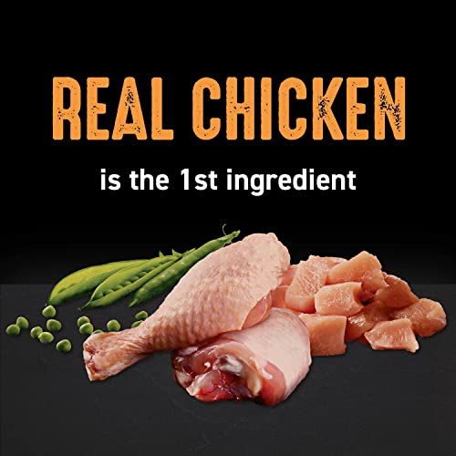 CRAVE Grain Free Adult High Protein Natural Dry Cat Food with Protein from Chicken, 2 lb. Bag