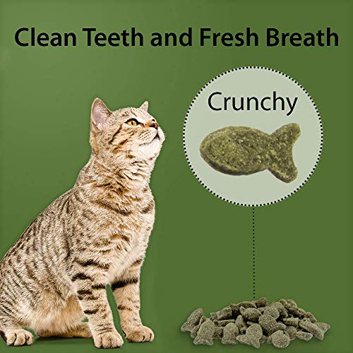 Emerald Pet 6 Pack of Catnip Feline Dental Treats, 3 Ounces Each, Grain-Free Cat Treats Made in The USA