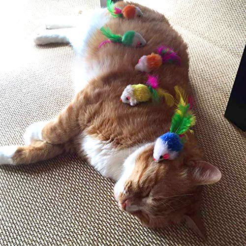 M JJYPET Cat Toys Kitten Toys Assortments(30 Packs),2 Way Tunnel,Cat Balls with Bells,Cat Feather Toy,Cat Mice Toy,Cat Crinkle Balls,Kitty,Kitten