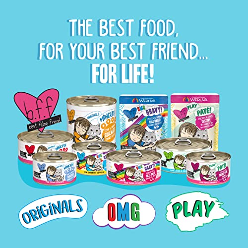 Weruva B.F.F. Omg - Best Feline Friend Oh My Gravy! Grain-Free Wet Cat Food Cans, Best Day Eva! Beef & Salmon, 2.8-Ounce Can (Pack of 12)