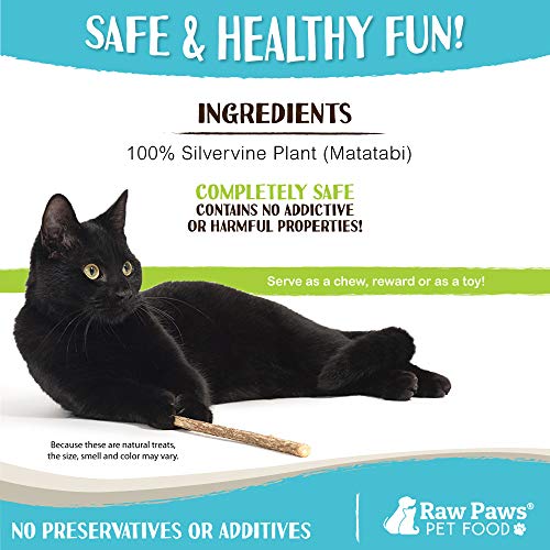 Raw Paws Natural Matatabi Cat Stick Treat, 30 Pack - Unprocessed, Safe & Healthy - Cat Silvervine Sticks for Cats of All Ages - Natural Catnip Chew Sticks - Silvervine Cat Toy - Catnip Sticks for Cats