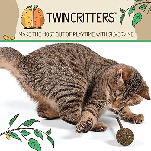 Twin Critters Organic Silver Vine Lollipops Catnip Matatabi Sticks - Dental Health - for Cats & Kittens 100%, All-Natural Silvervine (3 Pack)| Wild Harvested with No Additives Or Preservatives