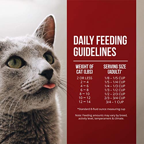 Fussie Cat Market Fresh Chicken & Turkey Meal Formula Grain-Free Dry Cat Food 2lb