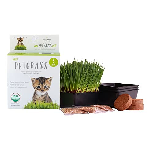Handy Pantry Organic Cat Grass Kit - Includes 3 Trays, 3 Soil Pucks, and 3 Packs Non GMO Wheatgrass Seed - A Healthy Treat for Cats, Dogs, Rabbits, and More