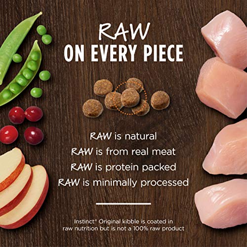 Instinct Original Kitten Grain Free Recipe with Real Chicken Natural Dry Cat Food by Nature's Variety, 4.5 lb. Bag