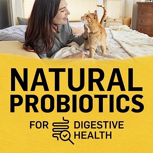 Purina Beyond Natural Limited Ingredient Dry Cat Food, Simply White Meat Chicken & Whole Oat Meal Recipe - 3 lb. Bag