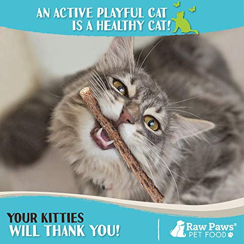 Raw Paws Natural Matatabi Cat Stick Treat, 30 Pack - Unprocessed, Safe & Healthy - Cat Silvervine Sticks for Cats of All Ages - Natural Catnip Chew Sticks - Silvervine Cat Toy - Catnip Sticks for Cats