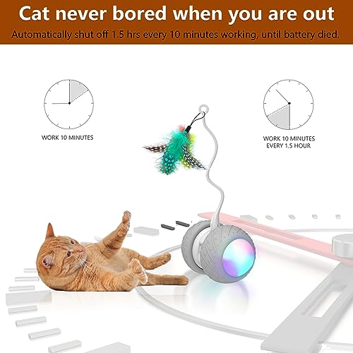 BENTOPAL Automatic Cat Toys Interactive Cat Feather Toys, Pet ExerciseToys, Electric Cat Toys for Indoor Cats/Kitten with Feather, 2020 Upgrade (Auto Cat Toy)
