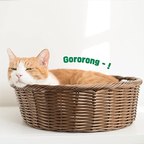 Gororong Premium Catnip Spray for Indoor, Outdoor Cats and Feline, Natural, Safe and High Potency, Use on Cat Toys, Scratchers and Condos 4 fl oz