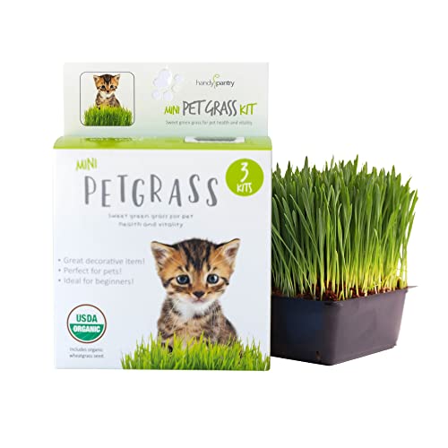 Handy Pantry Organic Cat Grass Kit - Includes 3 Trays, 3 Soil Pucks, and 3 Packs Non GMO Wheatgrass Seed - A Healthy Treat for Cats, Dogs, Rabbits, and More