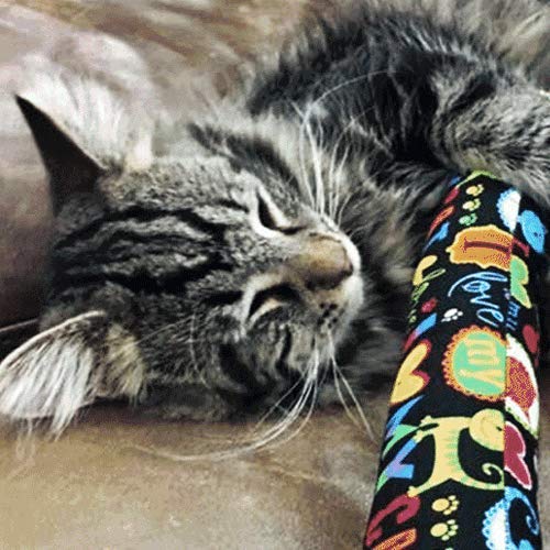 11" Catnip Kicker Toys - Set of 2 Cat Kickers