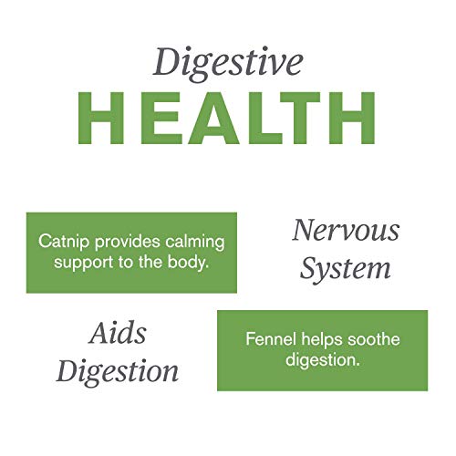 Nature's Sunshine Catnip and Fennel 2 Fl Oz