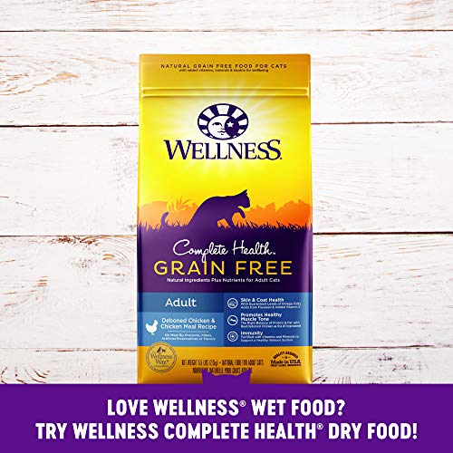 Wellness Complete Health Pate Beef & Chicken Dinner ( Pack of 24 )