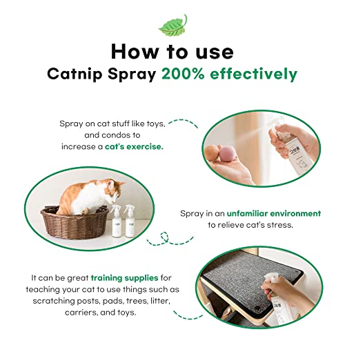 Gororong Premium Catnip Spray for Indoor, Outdoor Cats and Feline, Natural, Safe and High Potency, Use on Cat Toys, Scratchers and Condos 4 fl oz