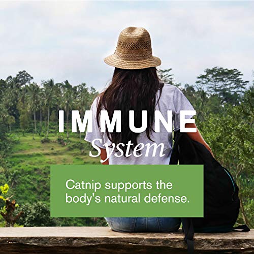 Nature's Sunshine Catnip and Fennel 2 Fl Oz