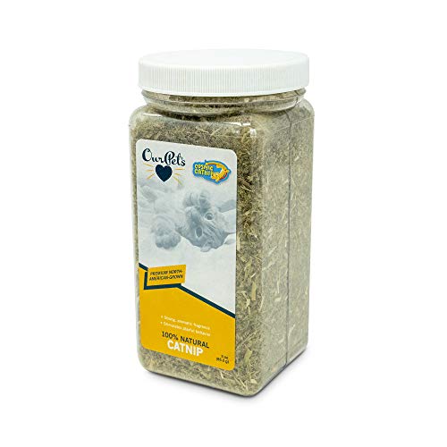 OurPets Premium North-American Grown Catnip Jar, 3-Ounce