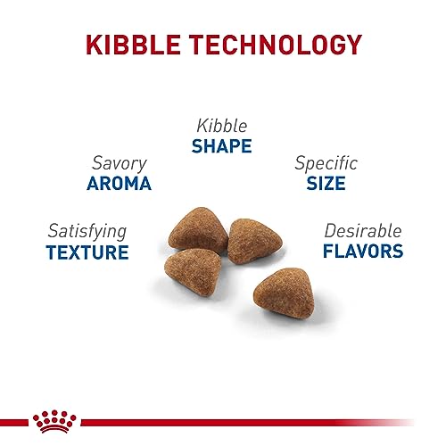 Royal Canin Indoor Adult Dry Cat Food, 3 lb.