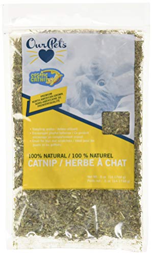 OurPets 1050011830 Catnip Polybag Catnip 1/2-Ounce, Beige