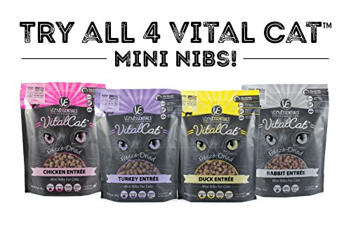 Vital Essentials Vital Cat Freeze-Dried Grain-Free Chicken Mini Nibs Cat Food, 12 oz.